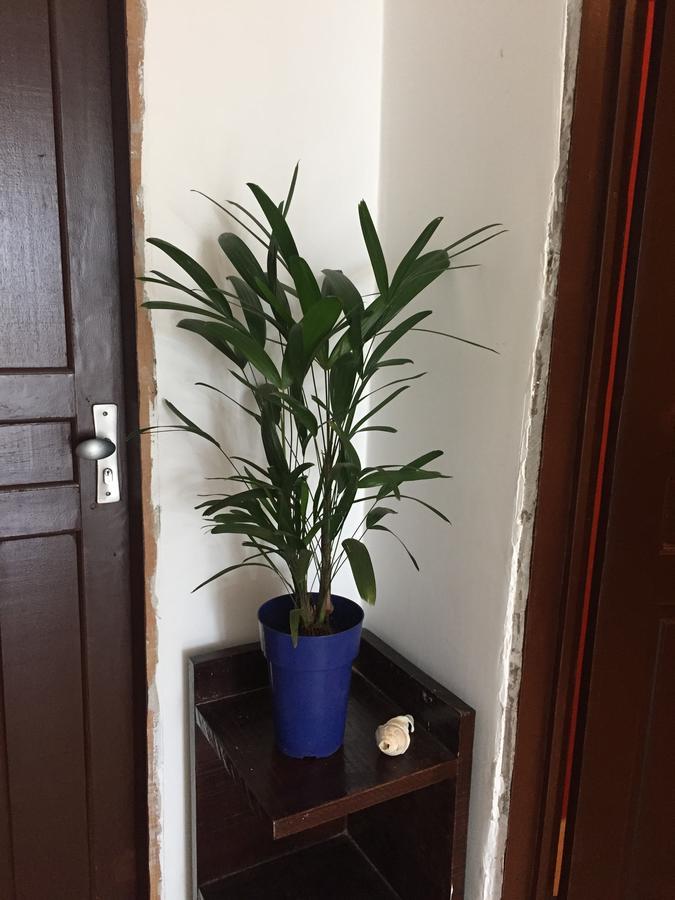 Vila Do Kite Pousada 普雷亚 外观 照片